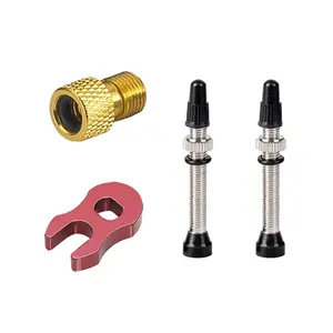 Valve Krayton Brass CP (x2) image-0