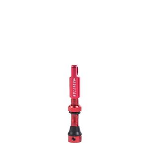 v01-002-40rj-box10u-bandenventiel-zonder-binnenband-krayton-x10-rood