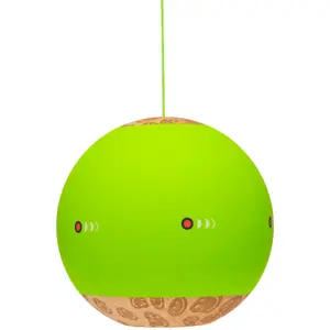 Behendigheidsspellen Krom image-5
