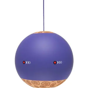 Behendigheidsspellen Krom image-5
