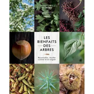 Book Kubbick Les bienfaits des arbres image-0