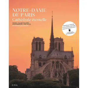 kb855booknotredamed-livre-notre-dame-de-paris-kubbick-gris-vert-28-63x2-74x34-65-cm
