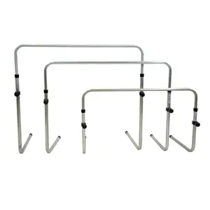 f1277-ubungshecke-kuebler-sport-silber