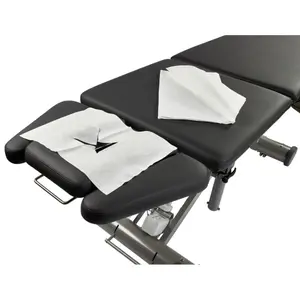 Paper towel Kuebler Sport (x100)