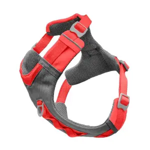 cy0393-hundsele-kurgo-journey-air-korall