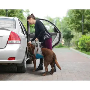 Dog lifting harness Kurgo Up & About™ image-2