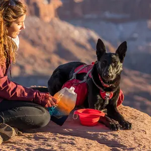 Comedero plegable para perros Kurgo Collaps-a-bowl image-3