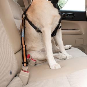 Security clip Kurgo Direct Seatbelt image-1