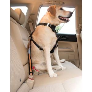 Security clip Kurgo Direct Seatbelt image-4