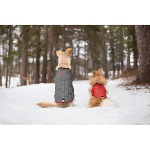 Manteau pour chien Kurgo Loft image-1