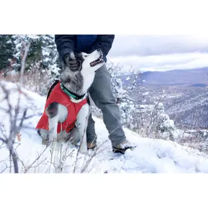 Manteau pour chien Kurgo Loft image-2