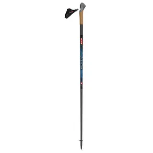 Nordic Walking Stock KV+ Prestige