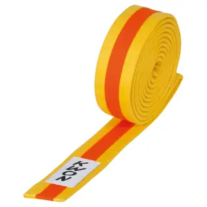 Budō belt Kwon image-0