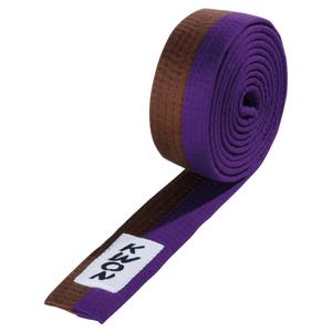 303020-303032-cintura-budo-2-colori-kwon-marrone-viola
