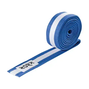 Budō belt Kwon image-0