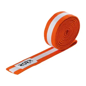 Budō belt Kwon image-0