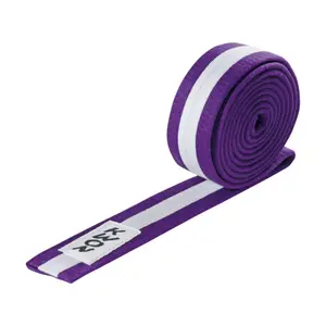 Budō belt Kwon image-0
