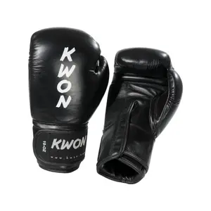 Boxing gloves Kwon Ergo Champ image-0