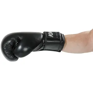 Boxing gloves Kwon Ergo Champ image-2
