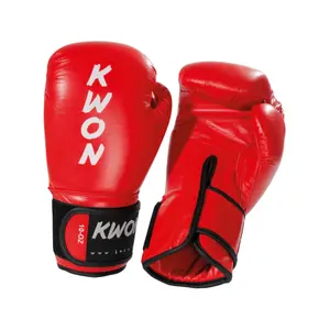 Luvas de boxe Kwon Ergo Champ image-0