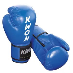 Boxningshandskar Kwon Ergo Champ image-0