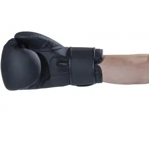 Gants de boxe Thaï Kwon Scratch image-2