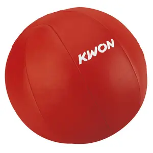 Medizin ball Leder Kwon