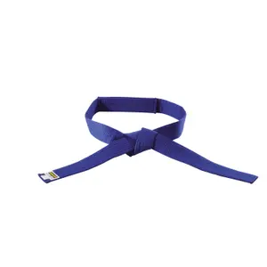 Blue velcro belt budō child Kwon image-0