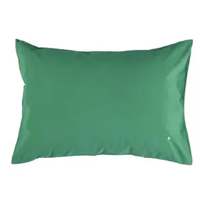 Federa La Cerise sur le Gâteau Céleste