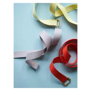 Belt La Cerise sur le Gâteau Ursule image-2