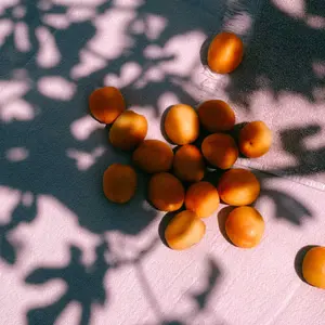 Guest towel La Cerise sur le Gâteau Luna (x2) image-2