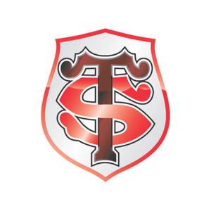 Nylon faner Stade Toulousain image-1