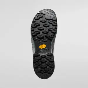 Klätterskor för kvinnor La Sportiva TX4 Evo GTX image-1