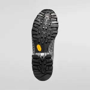 Wandel schoenen dames La Sportiva Spire GTX image-1