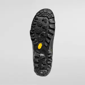 Hiking shoes La Sportiva TxS Gtx image-3