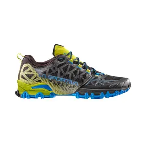 Trail running shoes La Sportiva Bushido II Gtx image-0