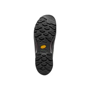 Hiking shoes La Sportiva TX4 Evo GTX Tige Mid image-1