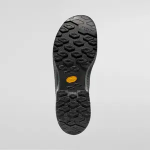 Hiking shoes La Sportiva TX4 Evo ST image-2