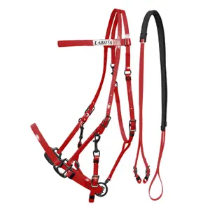 lk1082-burgundy-biothane-pferdehalfter-und-zugel-lakota-burgundrot-tu