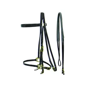 Biothane bridles for horses with bits Lakota image-0