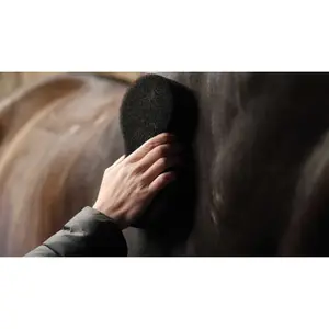 Ride svamp Lami-Cell Shine scrubber (x5) image-3