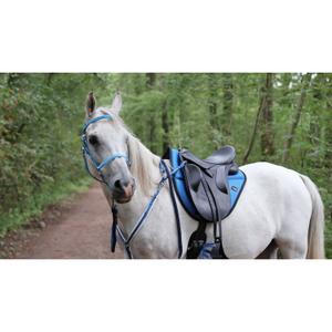 Almofada de sela para cavalos Lami-Cell New endurance image-1