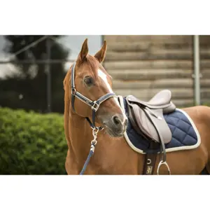 Sottosella dressage Lami-Cell Elegance image-6