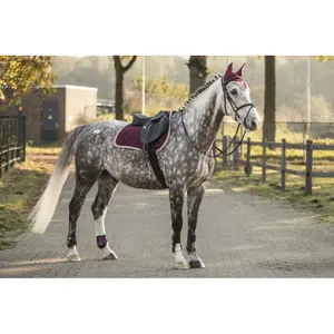Dressurmatte für Pferde Lami-Cell Elegance image-5
