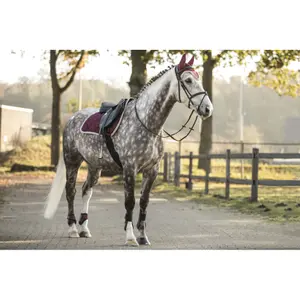 Dressurmatte für Pferde Lami-Cell Elegance image-6