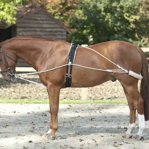 Equipos de entrenamiento de equitación Lami-Cell image-0