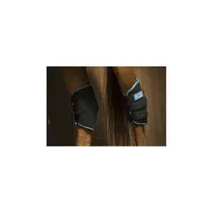 Protège-jarret pour cheval Lami-Cell Ice Boots image-2