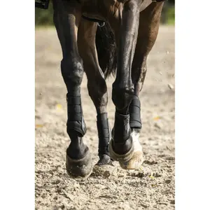 Guêtres pour cheval fermées Lami-Cell V22 Brushing boots image-5