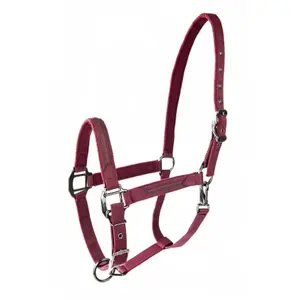 Halter for horse Lami-Cell Sparkling image-2
