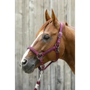 Halter for horse Lami-Cell Sparkling image-1